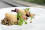 <br />Scallops with lentils, mushrooms, curry and Sot-l'y-laisse