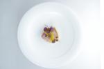 <br />Pistachio cured hamachi, white chocolate and passion fruit emulsion with deZaan™ gourmet passion 34%