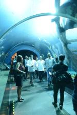 <br />Masterchef William Ledeuil and the team from My Humble House, Tung Lok Group enjoying the walk through the S.E.A. Aquarium