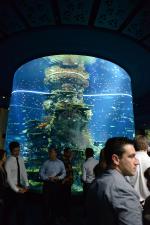 <br />Chefs touring the world's largest aquarium
